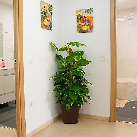 Family Deluxe Apartment *